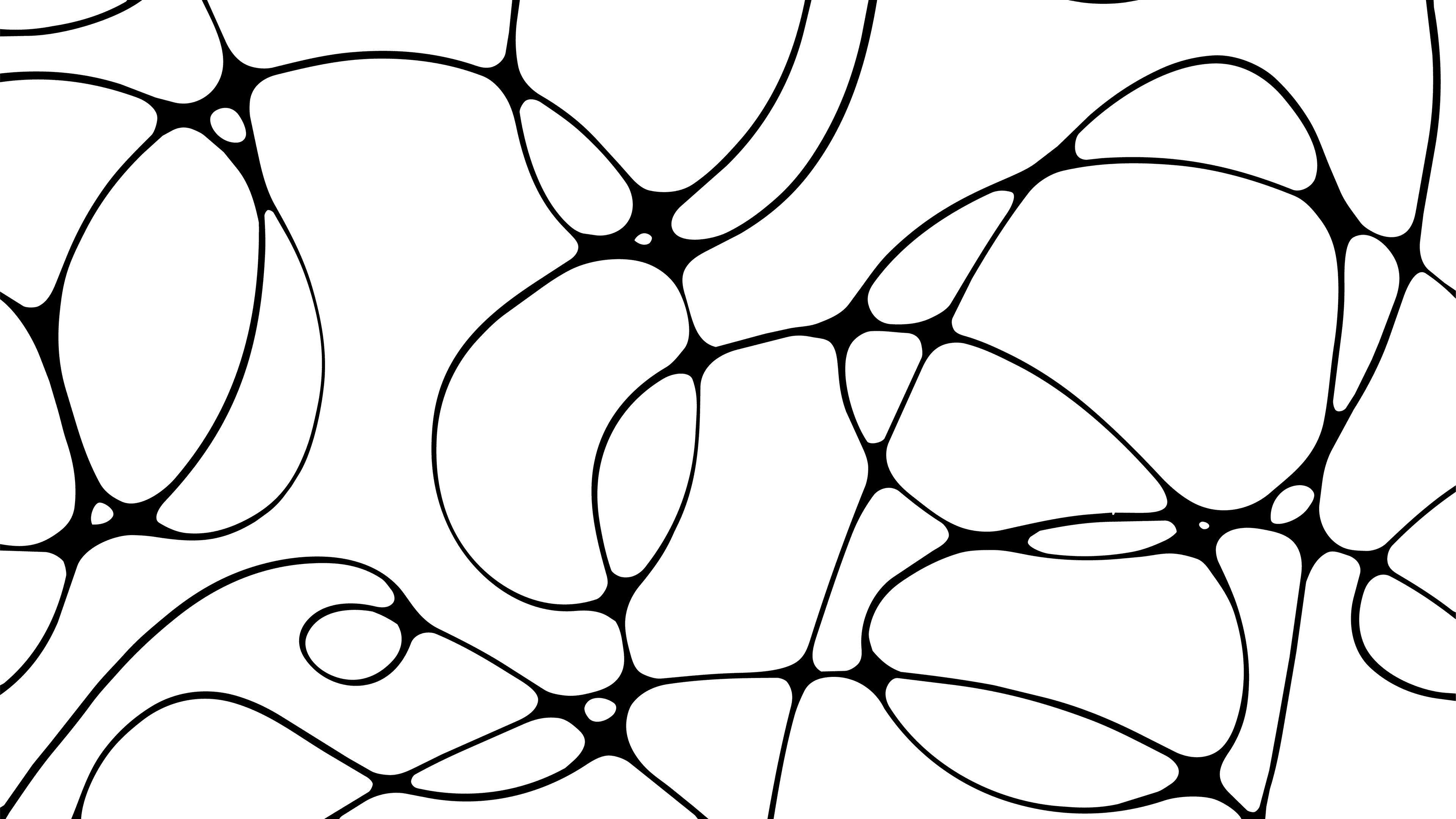 Row of one header image